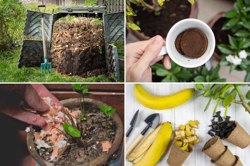 engrais naturel pour le jardin bio