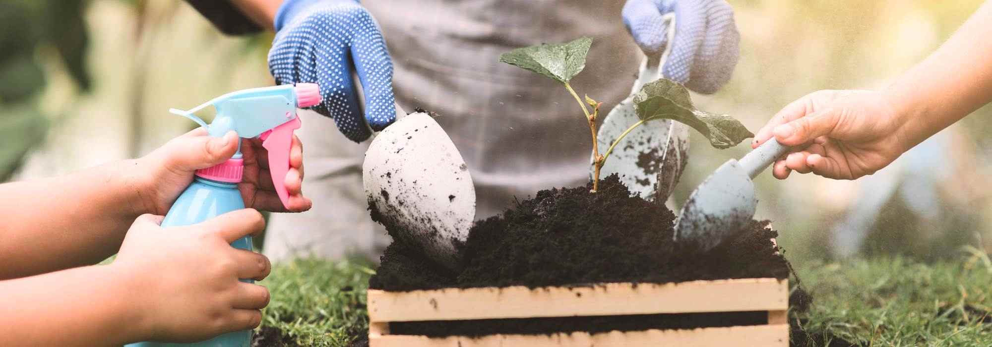 Faire un potager avec les enfants pour créer du lien et apprendre en s’amusant !