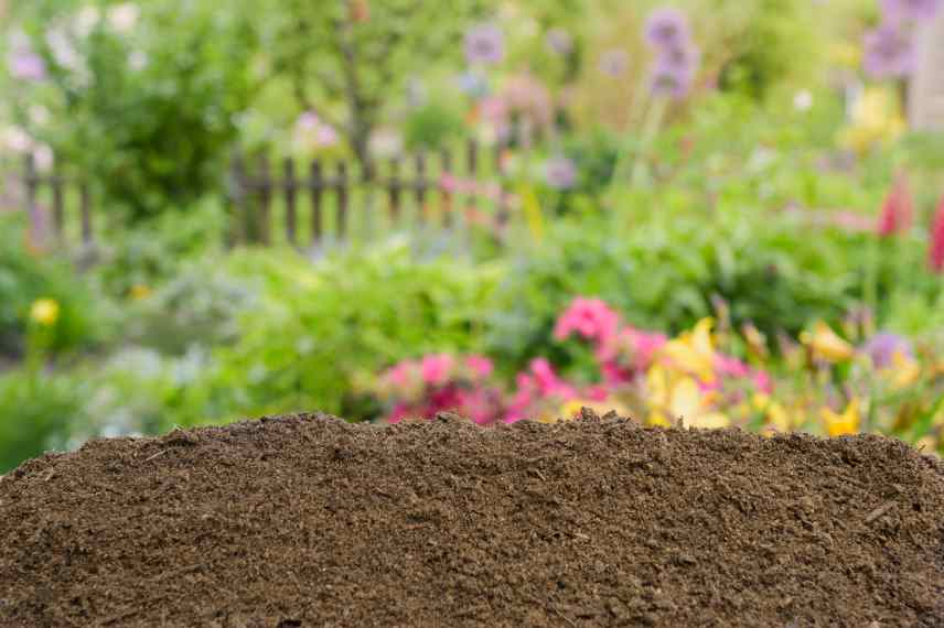 engrais ou pas pour plantes