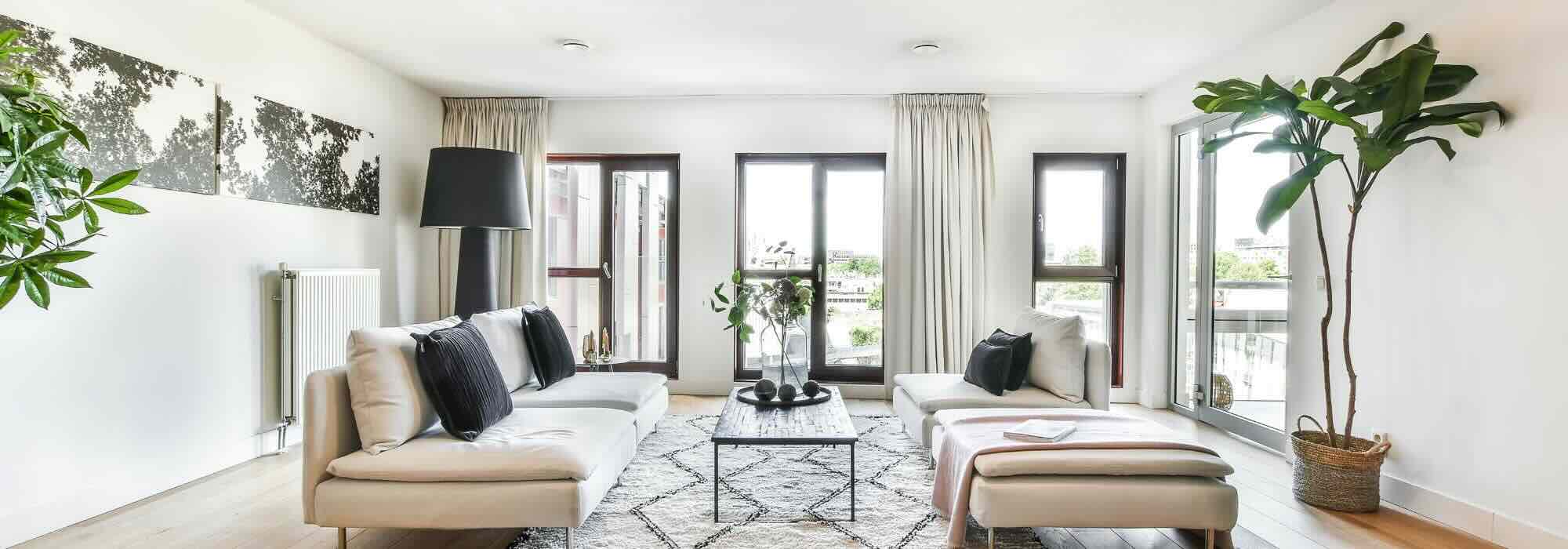 Les meilleures plantes d’intérieur pour embellir un salon