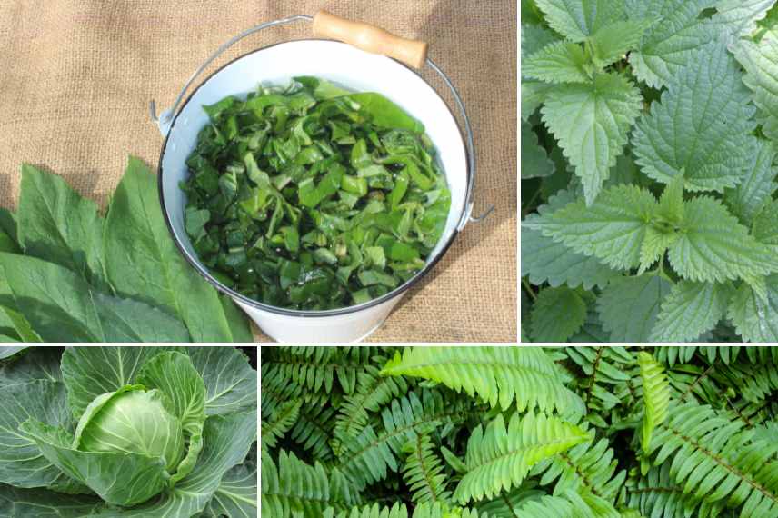 fertiliser naturellement ses plantes