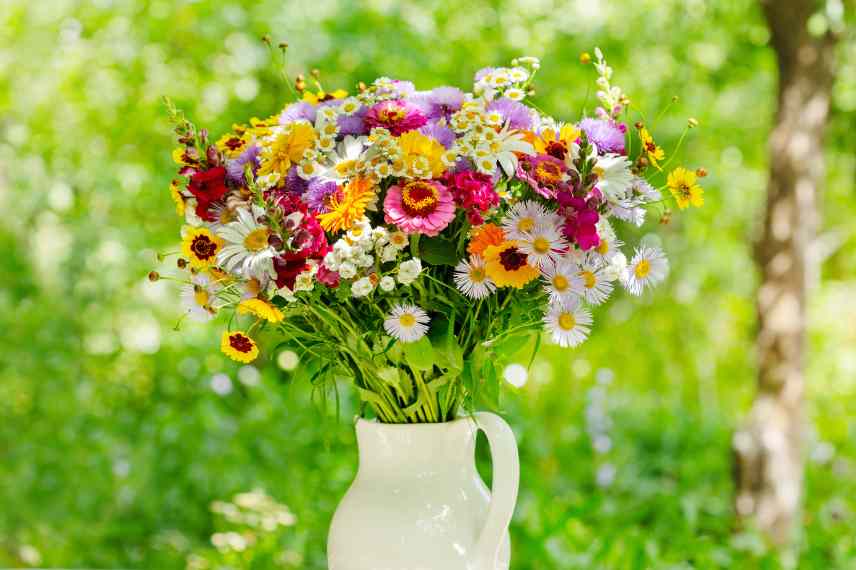 bouquet estival maison vivaces