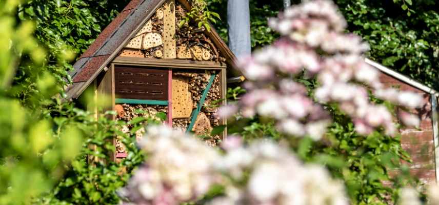 prevenir les maladies dans un jardin