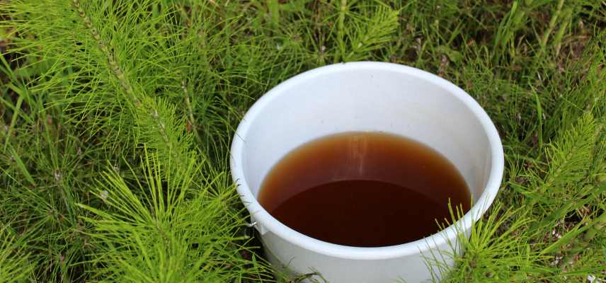 traiter maladies jardin naturellement