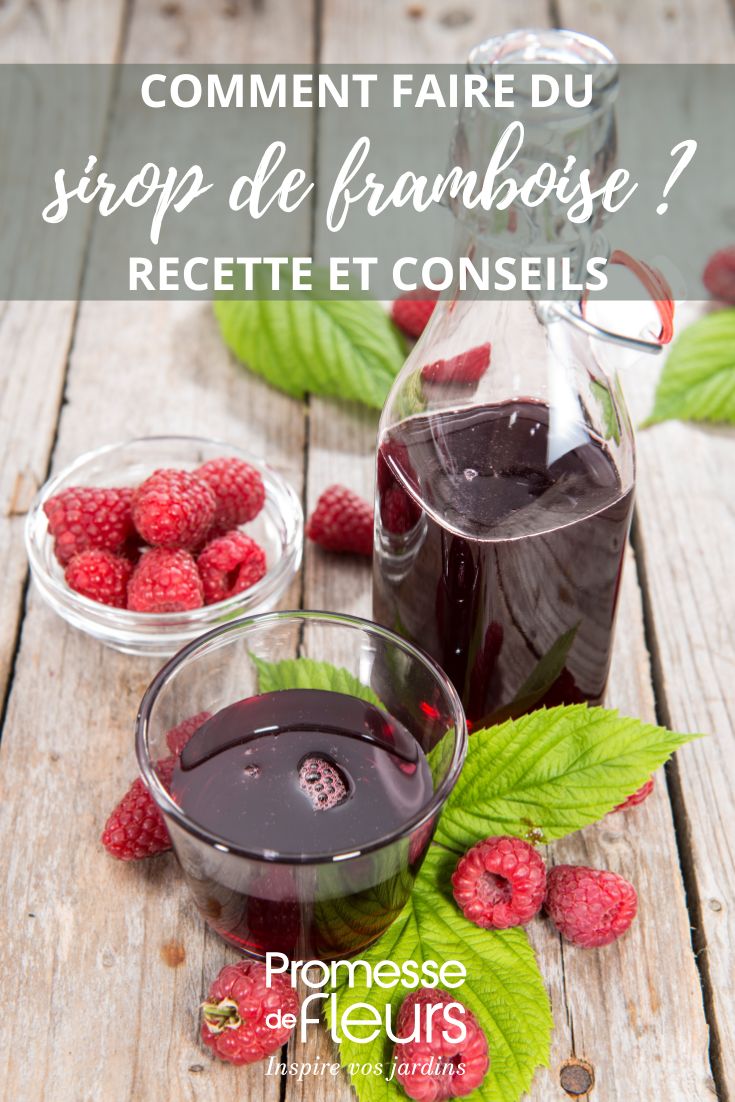 sirop de framboise, verre et framboises fraiches
