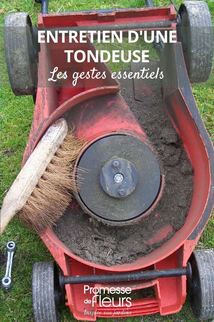 les gestes et conseils pour l'entretien de la tondeuse de jardin
