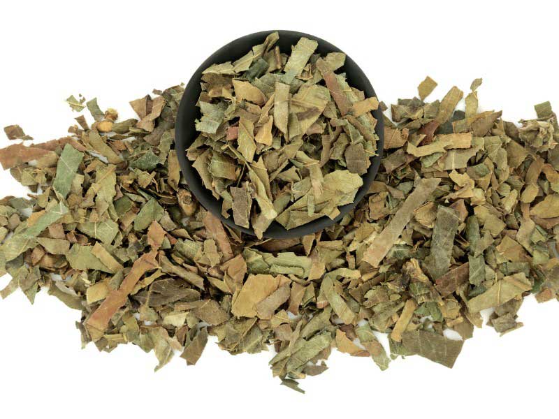 Eriobotrya japonica - feuilles séchées à utiliser en infusion