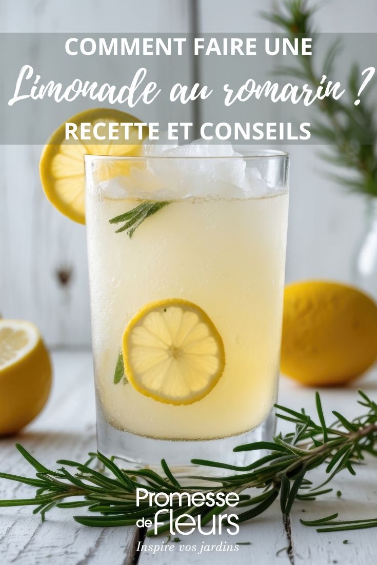 recette limonade citron romarin