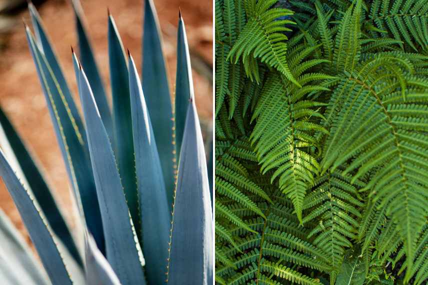 arroser sans noyer : comment doser au mieux les arrosages ?