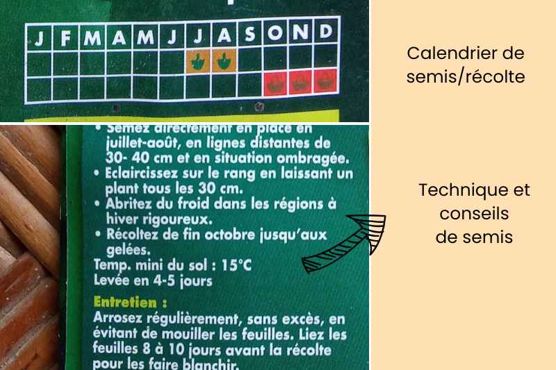 conseils sachets semences