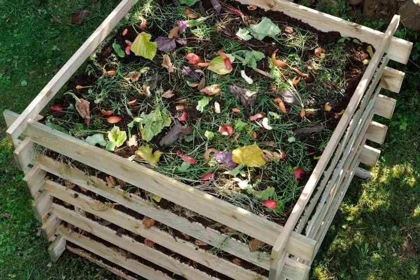 ce qui attire les limaces au jardin 