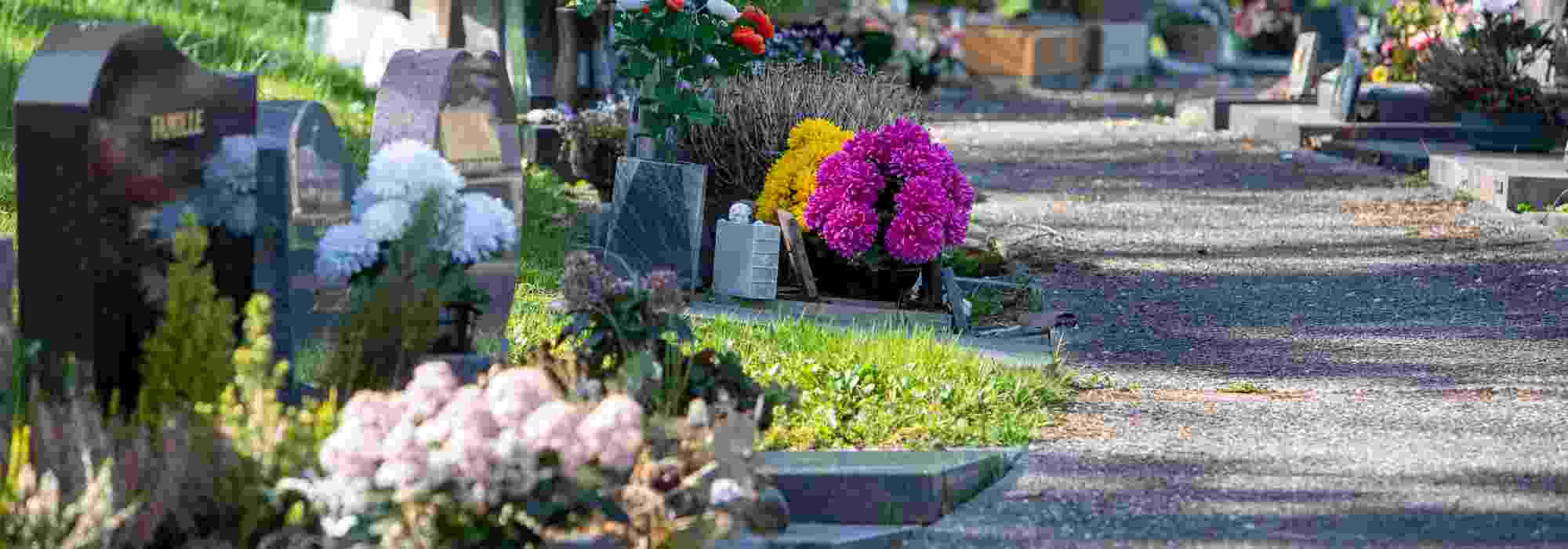Plantes résistantes pour cimetière : que planter en pot sur une tombe ?