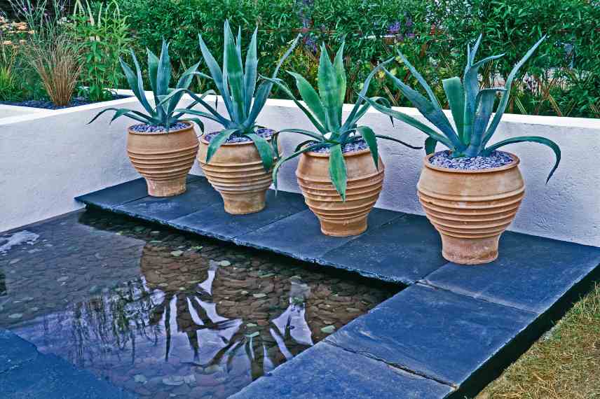 Schiste utilisation jardin eau