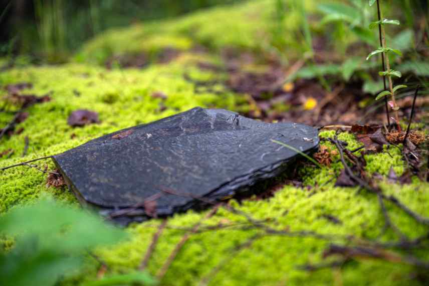 schiste idees association jardin