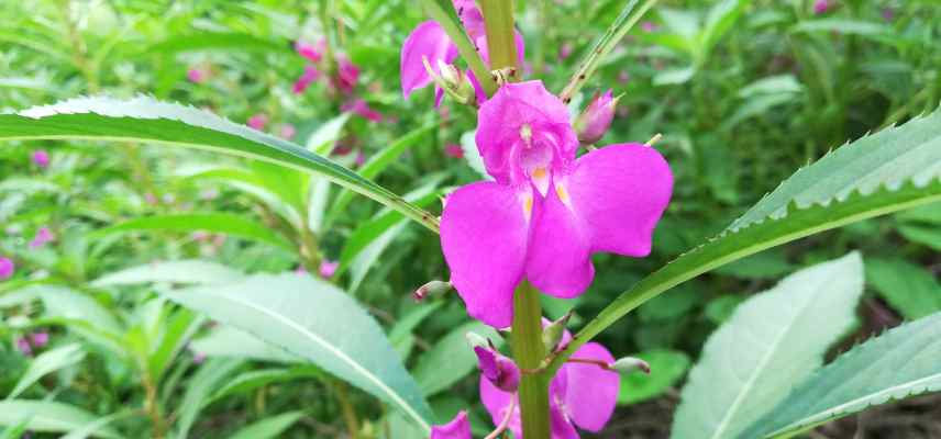 annuelles selon type exposition sol