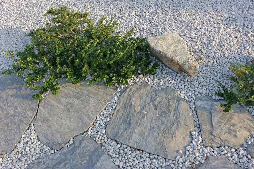 pas japonais ardoise idee jardin