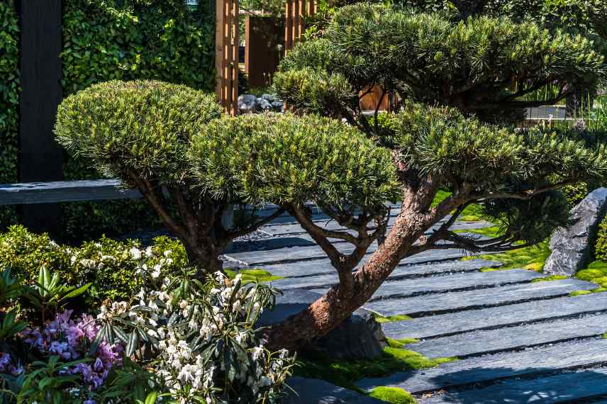 ardoise jardin japonais