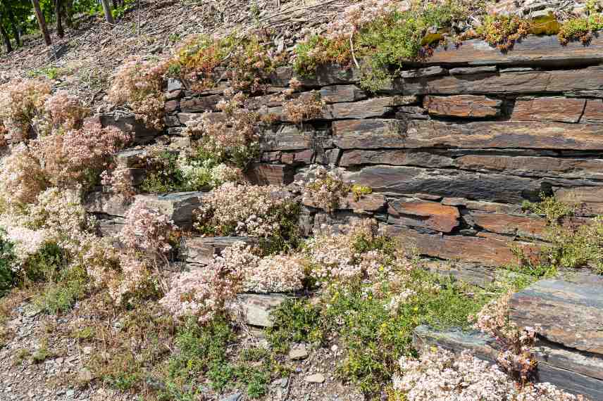 schiste creation murs soutenement