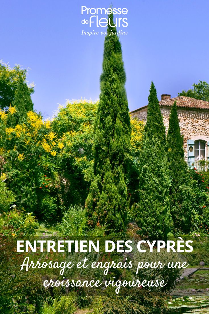 jardin et cypres
