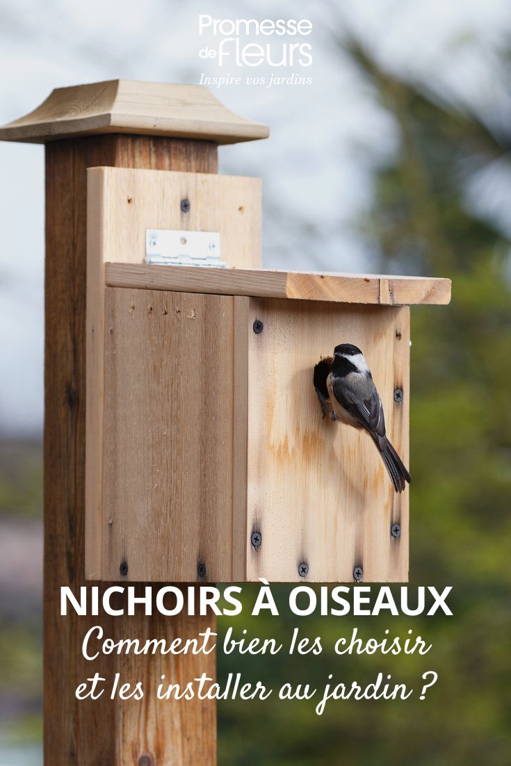 un nichoir à oiseaux