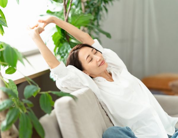 Plantes vertes et bien-être : leur impact psychologique et esthétique