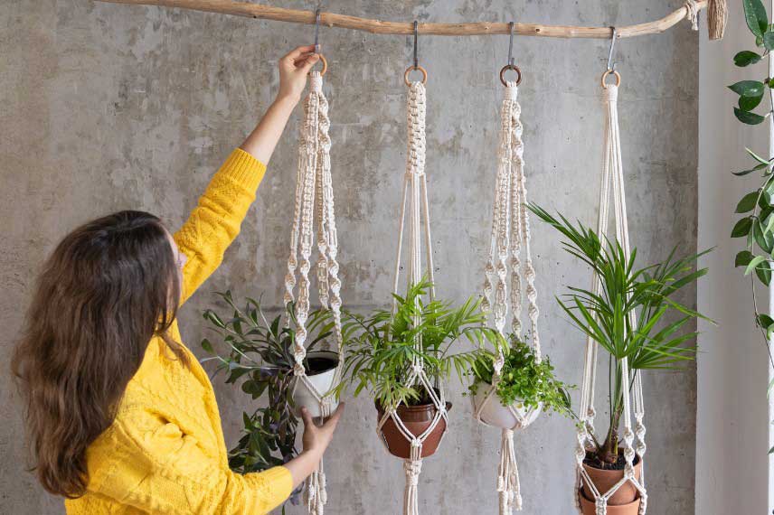 Installation plantes d'intérieur suspensions macramé crochets