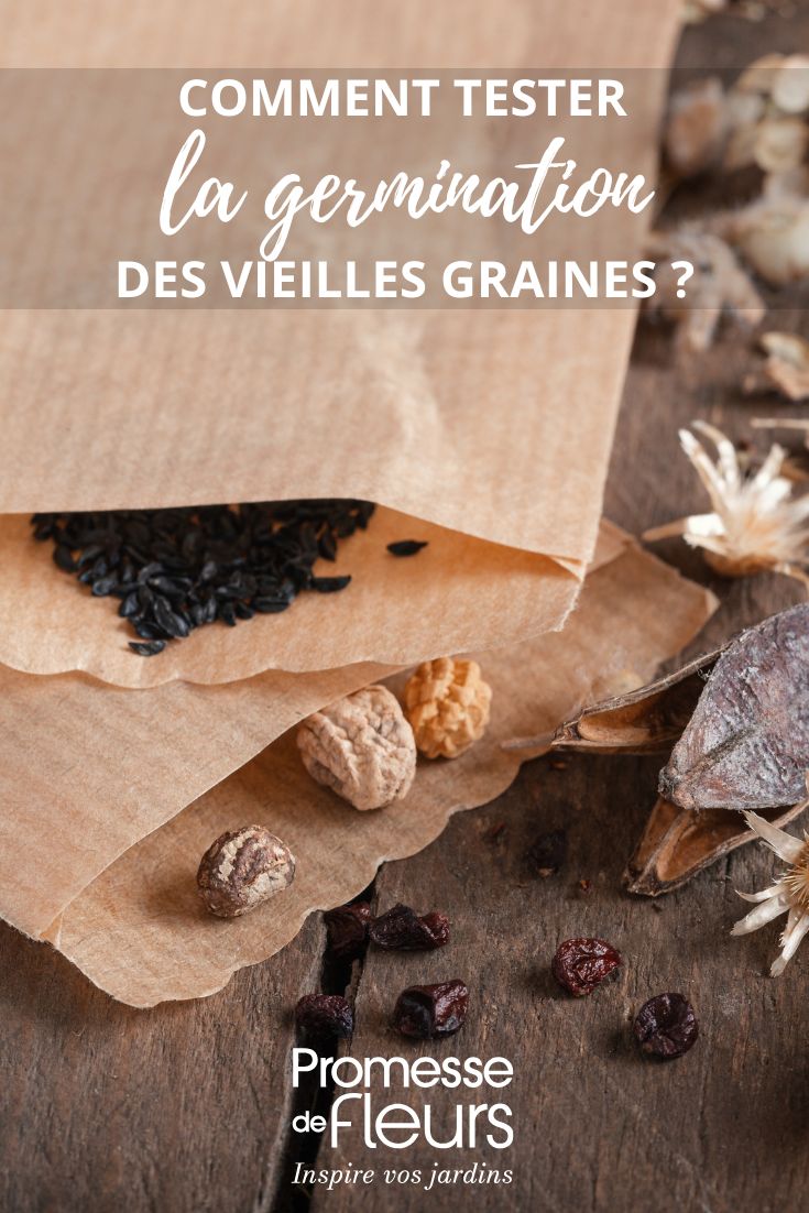 sachets de graines