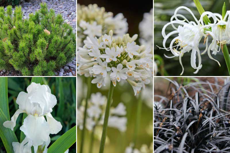 Association avec la couleur Cloud Dancer : Calme minéral