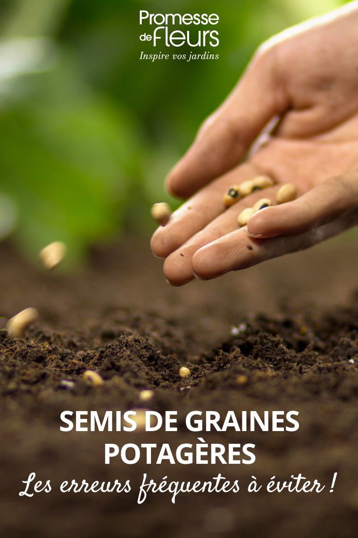 semer les graines au potager