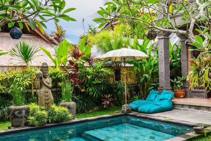 Tendance jardin 2026 - Evasions nomades, plantes exotiques