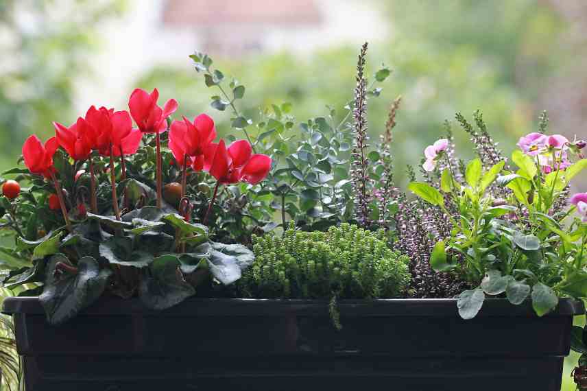 contraintes petites jardinieres