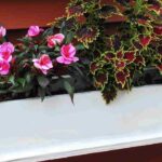 Plantes idéales pour une jardinière étroite : nos meilleures options