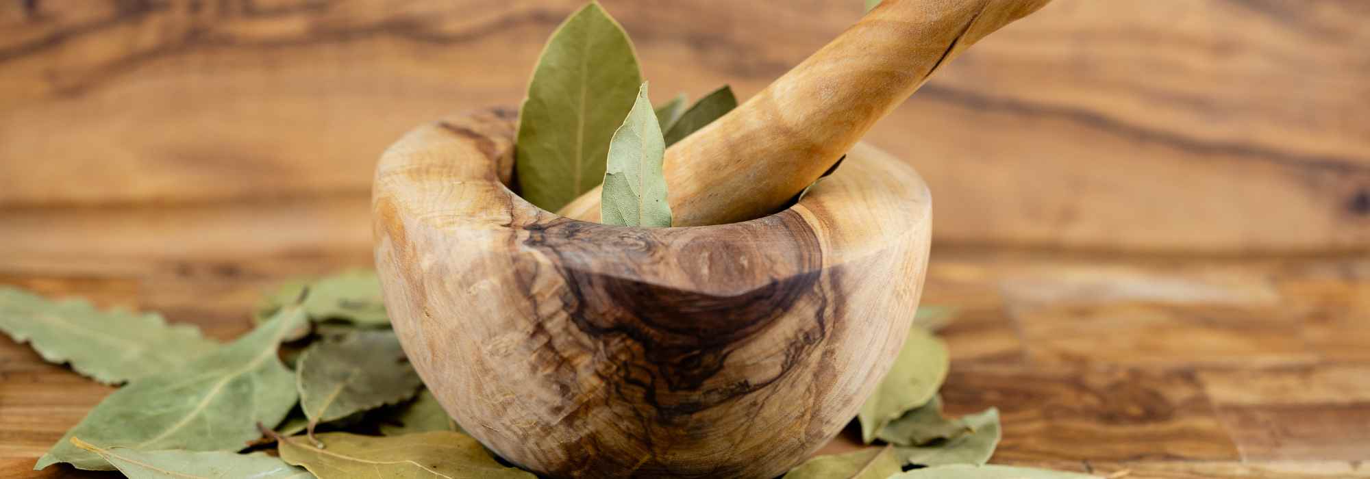 Laurier et santé : le cultiver pour profiter de ses bienfaits