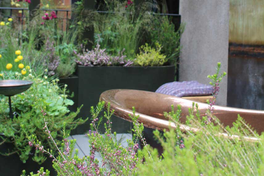 Tendance jardin - Intrication vegetale