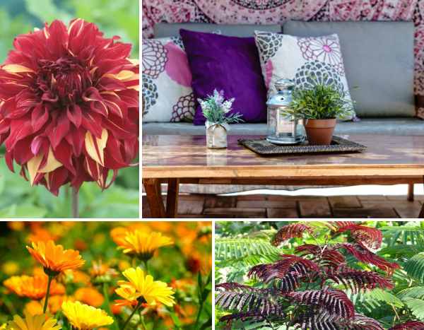 Tendance jardin : Boho Patio