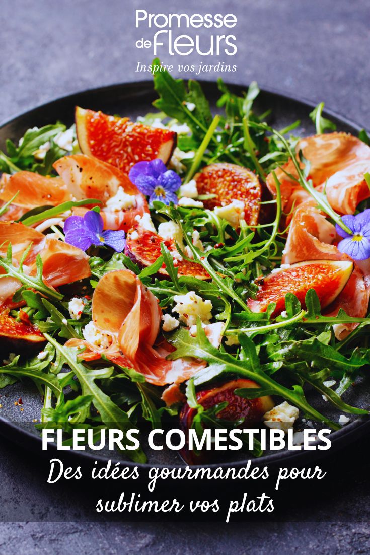 Fleurs comestibles : des idées gourmandes pour sublimer vos plats