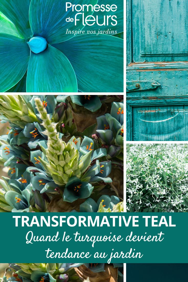 inspiration bleu turquoise - Teal