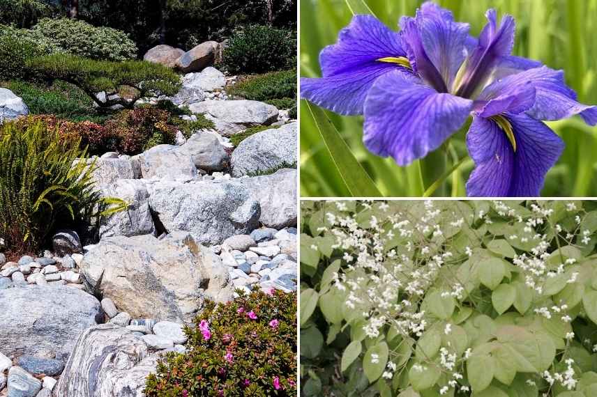 quelles plantes pour riviere seche jardin zen
