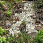 Aménager une rivière sèche dans un jardin japonais