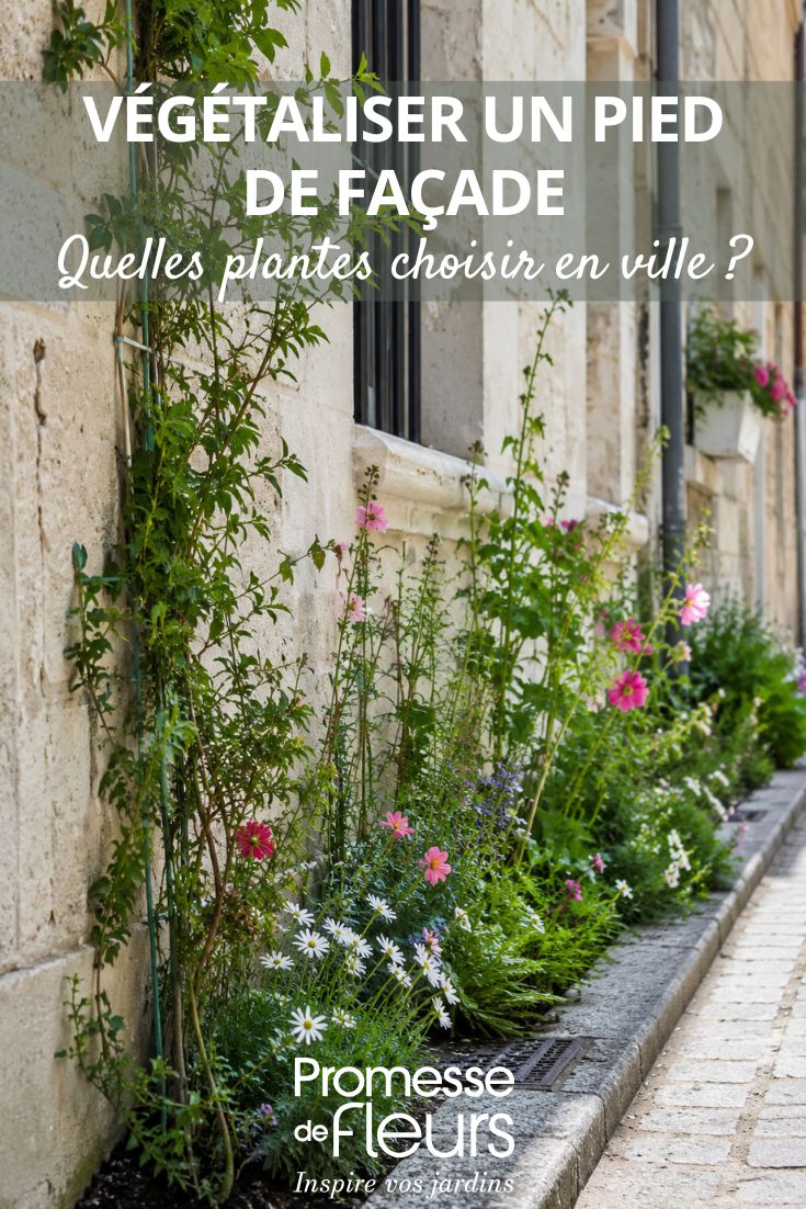 façade de ville avec des plantes - Image IA