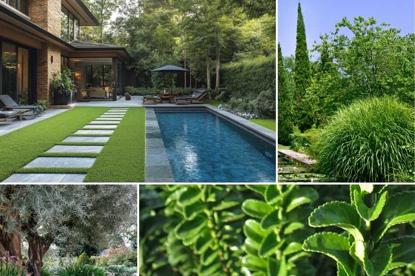 ombrage piscine moderne design contemporaine