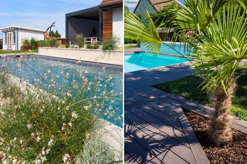 plantes arbustes pour border piscine