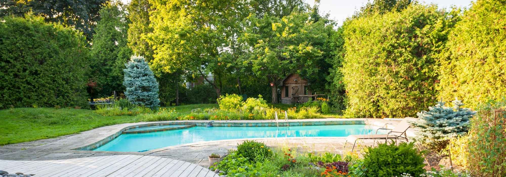 Quelles plantes choisir autour d'une piscine ?