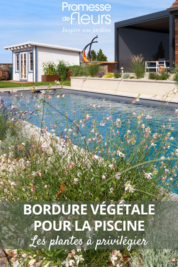 les plantes de bordures de piscine