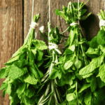Comment faire ses bouquets d’aromates maison à suspendre ?