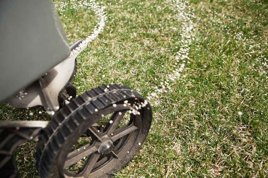 comment reparer degats pelouse ete secheresse