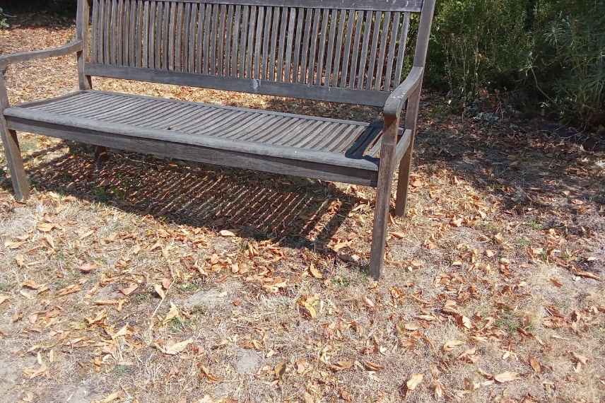 gestion pelouse pendant canicules secheresses
