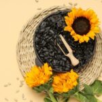 Comment récolter et conserver les graines de tournesol ?