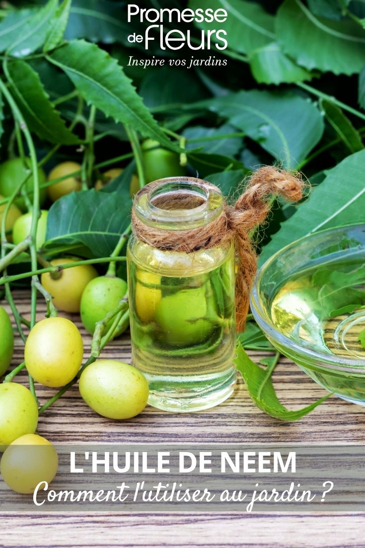 neem oil