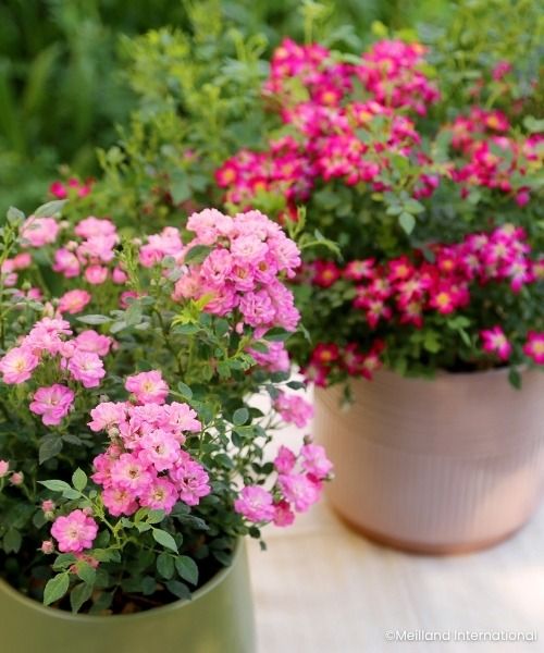 TERRASSE OU BALCON : MISEZ SUR LE FORMAT COMPACT